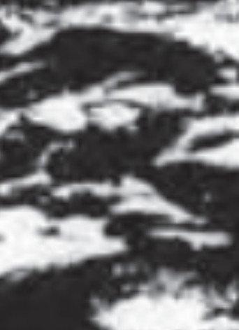 Burren afişi