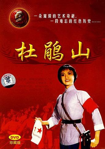 杜鹃山 afişi