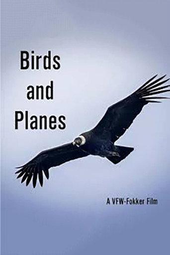 Birds and Planes afişi