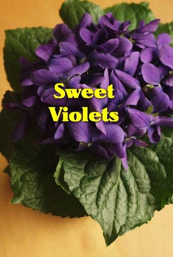 Sweet Violets afişi