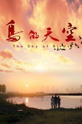 鸟的天空 afişi