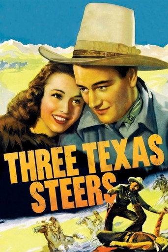 Three Texas Steers afişi