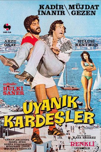 Uyanık Kardeşler afişi