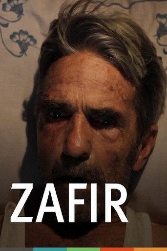 زفير afişi