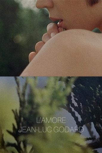 L'amore afişi