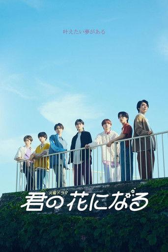 君の花になる afişi