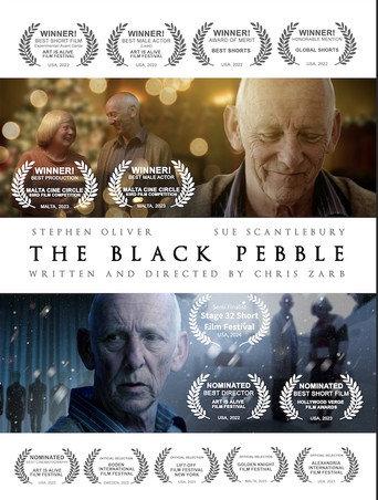 The Black Pebble afişi