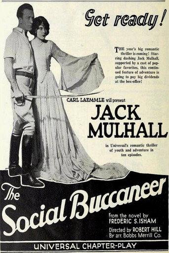 The Social Buccaneer afişi