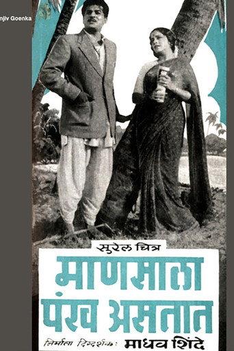 माणसाला पंख असतात afişi