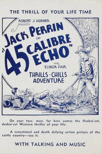 45 Calibre Echo afişi