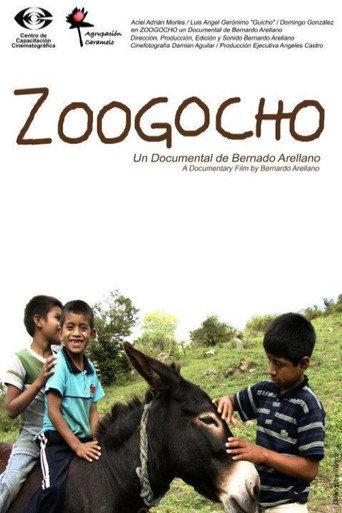 Zoogocho afişi