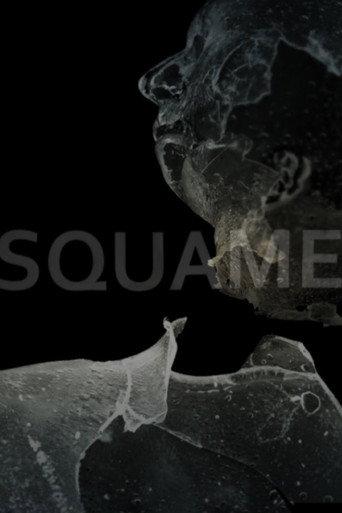 Squame afişi
