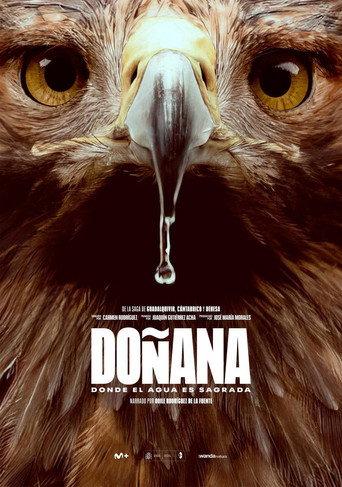 Doñana afişi