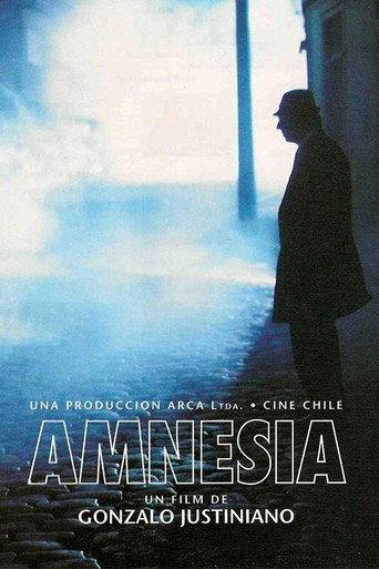 Amnesia afişi