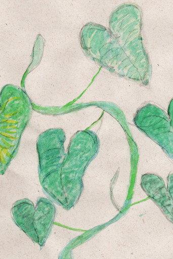 E as minhas plantas? afişi