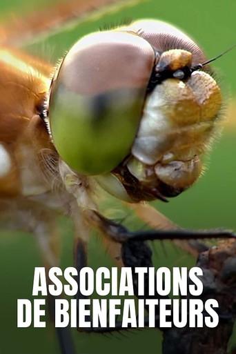 Associations de bienfaiteurs afişi