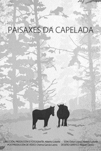 Paisaxes da Capelada afişi