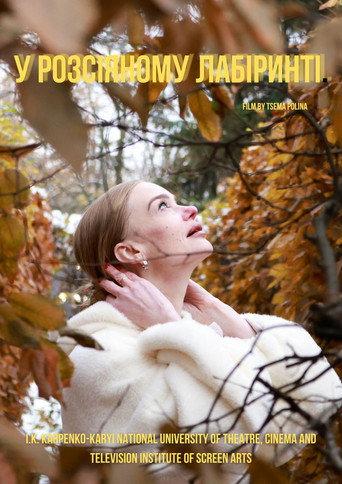 У розсіяному лабіринті afişi