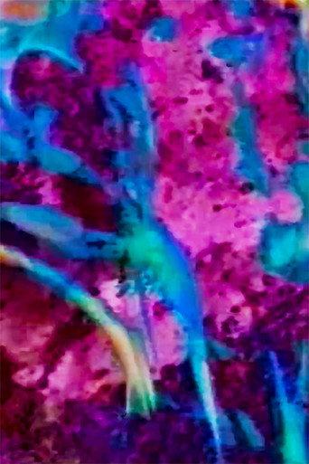 Chronos Fragmented afişi