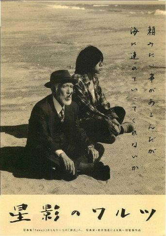 星影のワルツ afişi