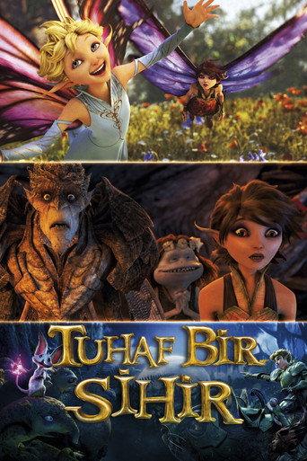 Tuhaf Bir Sihir afişi