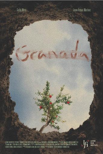 Granada afişi