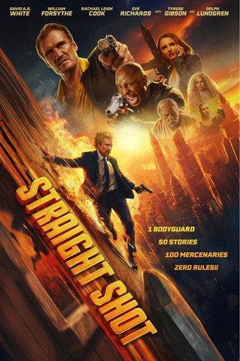 Straight Shot afişi
