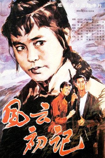 风云初记 afişi