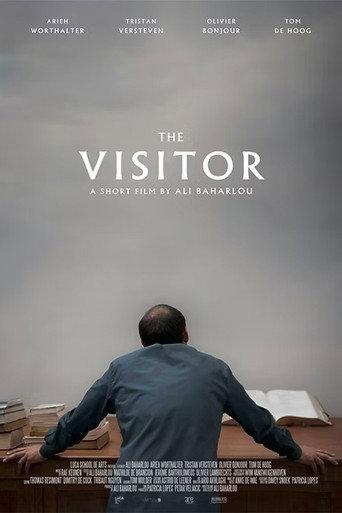 The Visitor afişi