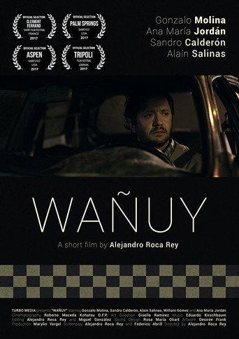 Wañuy afişi