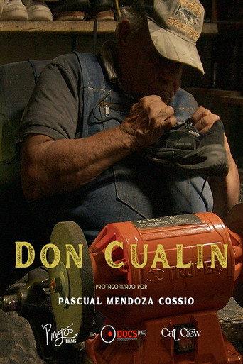 Don Cualín afişi