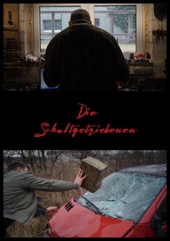 Die Schaltgetriebenen afişi