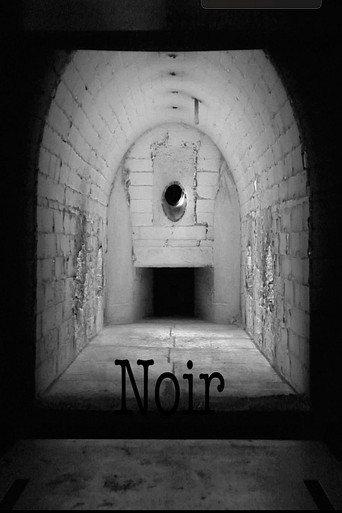 Noir afişi