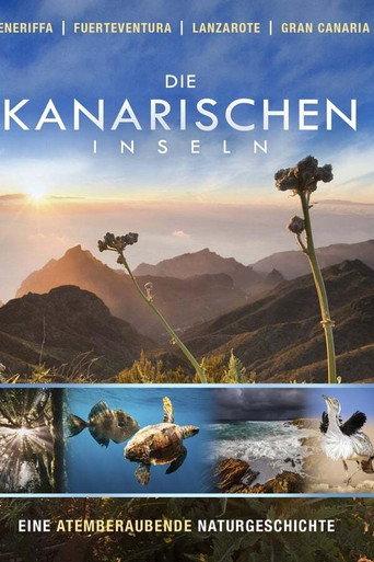 Die Kanarischen Inseln afişi