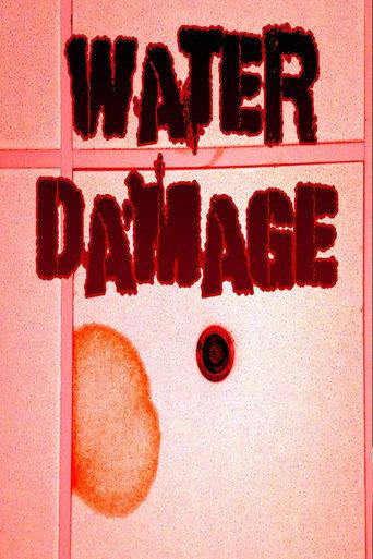 Water Damage afişi