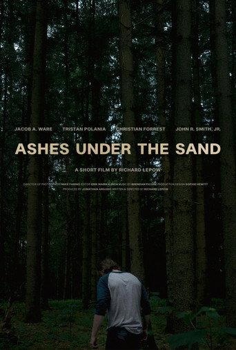 Ashes Under the Sand afişi