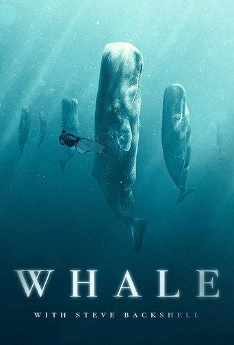 Whale with Steve Backshall afişi
