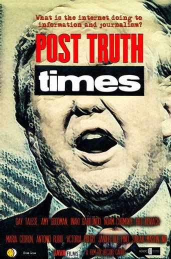 Post Truth Times afişi