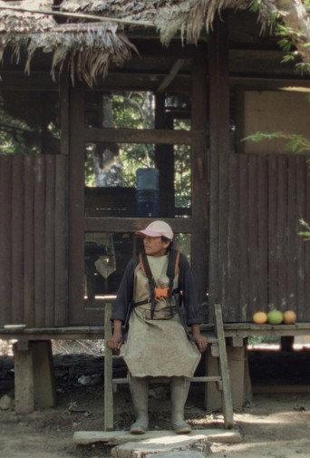 Mitayero afişi