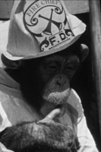 The Rookie Fireman afişi