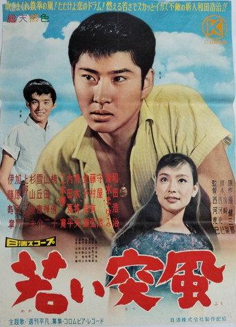 若い突風 afişi