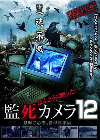 ほんとうに映った!監死カメラ 12 afişi