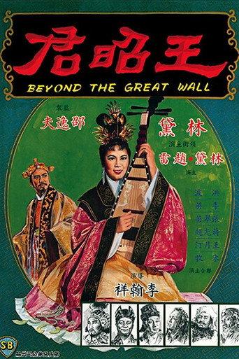 Wang zhao jun afişi