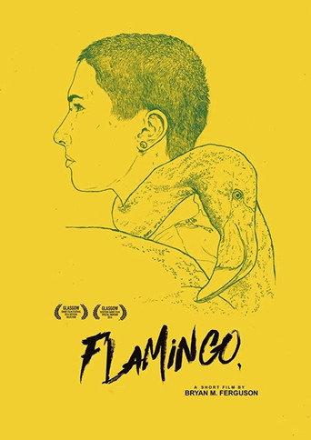 Flamingo afişi