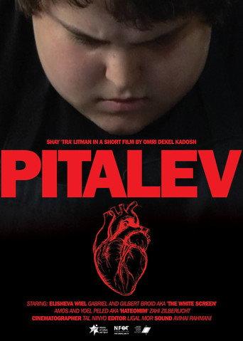 Pitalev afişi