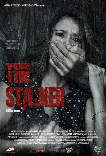 The Stalker afişi