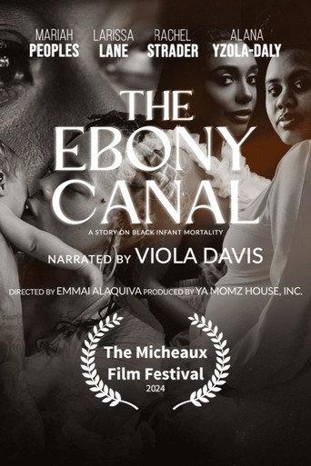 The Ebony Canal: A Story of Black Infant Mortality afişi
