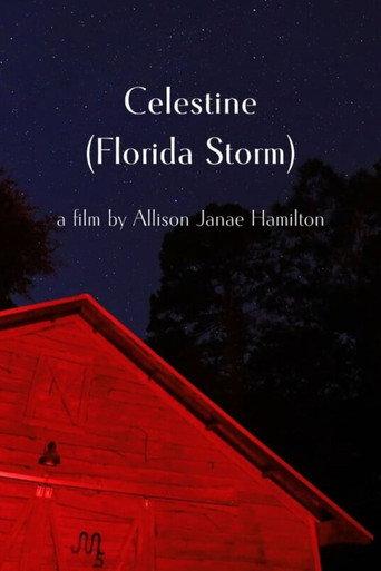 Celestine (Florida Storm) afişi