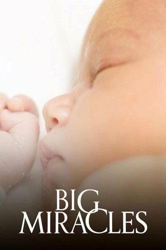 Big Miracles afişi