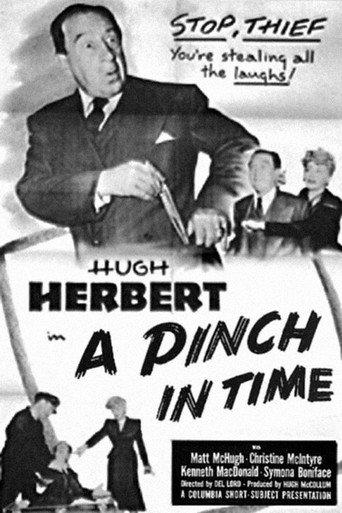 A Pinch in Time afişi